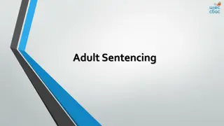 Adult Sentencing and Custodial Sentences