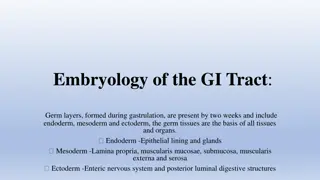 Embryology of the GI Tract and Development of the Gut Tube