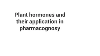 Plant Hormones and Their Role in Pharmacognosy