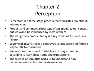 Understanding the Three-Stage Process of Perception