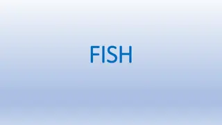 Learn About Various Types of Fish