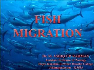 Fish Migration and Behavior in Aquatic Habitats