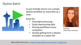 Efficient Skyline Batch Workflow Tool for Processing Multiple Files