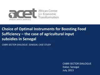 Enhancing Food Sufficiency Through Agricultural Subsidies in Senegal