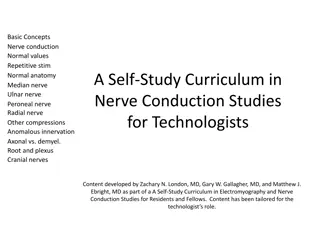 Electrical Concepts in Nerve Conduction Studies