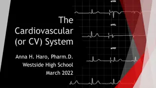 The Cardiovascular System: Anatomy, Physiology, and Function