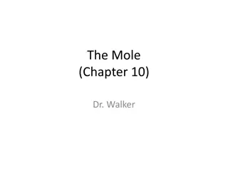 The Concept of Molar Mass in Chemistry