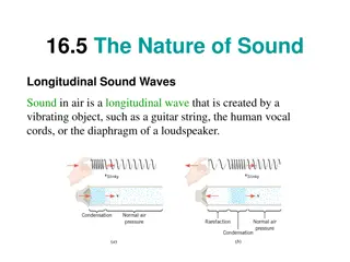 Sound Waves: Nature, Properties, and Characteristics