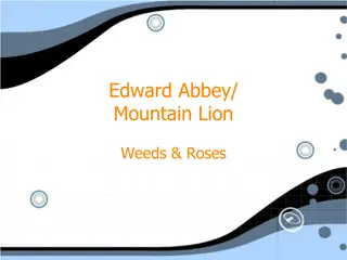 Analyzing Edward Abbey's Mountain Lion, Weeds, and Roses