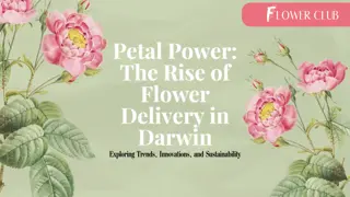 Petal Power The Rise of Flower Delivery in Darwin