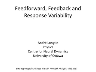 Understanding Neural Response Variability and Connectivity Dynamics