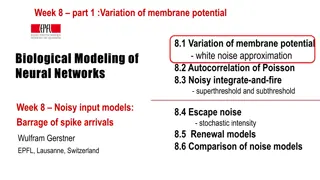 Exploring Membrane Potential Variations in Neural Networks