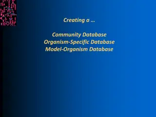 Creating a Model Organism Database: The Importance and Process