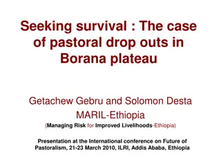 Pastoral Dropouts in Borana Plateau: Causes and Recommendations