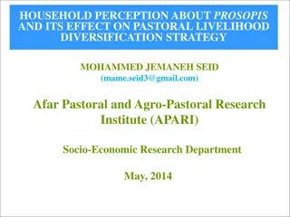 Perception of Prosopis Impact on Livelihood Diversification Among Pastoralists