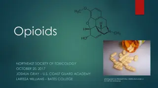 Opioids and the Brain's Receptors