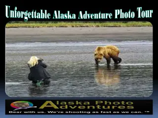 Unforgettable Alaska Adventure Photo Tour