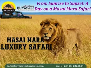 From Sunrise to Sunset: A Day on a Masai Mara Safari