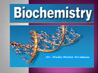 Role of RNA in Biological Processes and Protein Synthesis