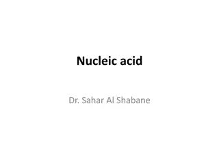 Understanding Nucleic Acids: The Building Blocks of Life