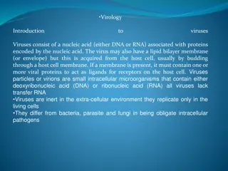 Understanding Viruses: A Brief Overview of Virology