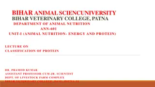 Classification of Proteins in Animal Nutrition: Simple Proteins vs. Conjugated Proteins