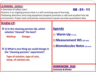 Macromolecules and Essential Nutrients for Overall Well-being