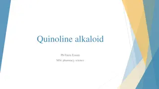 Quinoline Alkaloids in Ruta graveolens for Medicinal Purposes