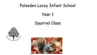 Polesden Lacey Infant School - Year 1 Squirrel Class Overview