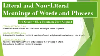 Understanding Literal and Non-Literal Meanings of Words and Phrases in 3rd Grade ELA