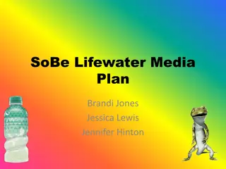 SoBe Lifewater Media Plan Analysis