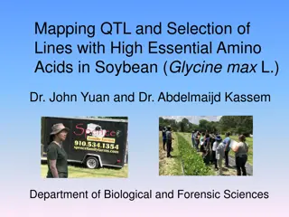 Mapping QTL and Selection of Soybean Lines with High Essential Amino Acids