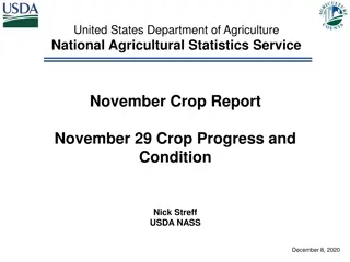 Nebraska Crop Report - November 2020 Insights