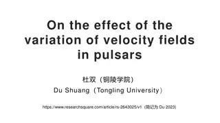 Impact of Velocity Field Variations on Pulsar Magnetic Fields