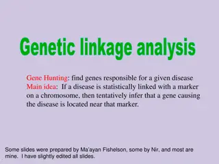 Gene Hunting and Disease Genes in Human Genetics