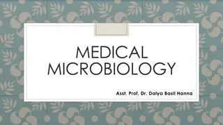 Understanding Rickettsial Diseases: Epidemiology, Pathogenesis, and Clinical Features