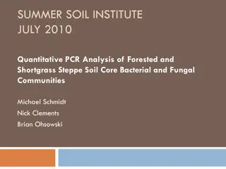 Analysis of Bacterial and Fungal Communities in Forested and Shortgrass Steppe Soil