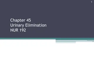 Understanding Urinary Elimination and Related Health Conditions