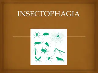 Insectophagia: Sustainable Business Simulation Game