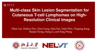 Multi-class Skin Lesion Segmentation for Cutaneous T-cell Lymphomas