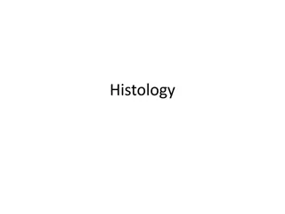 Understanding Basic Histology and Tissue Types