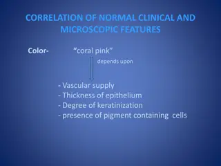 Correlation of Normal Clinical and Microscopic Features in Gingival Health