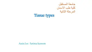 The Four Basic Types of Tissue