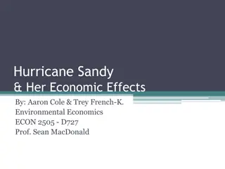 The Economic Impact of Hurricane Sandy: A Comprehensive Analysis