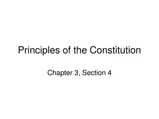 Understanding Principles of the Constitution and Government Structure