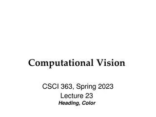 Computational Vision and Color Perception