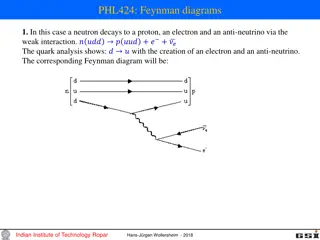 Feynman Diagrams in Particle Physics