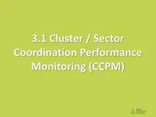 Cluster Sector Coordination Performance Monitoring (CCPM): Enhancing Gender Equality and GBV Protection