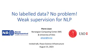 Weak Supervision for NLP: Overcoming Labelled Data Challenges