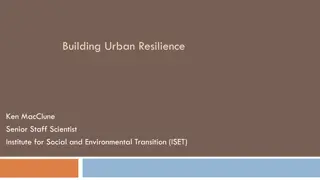 Understanding Urban Resilience and Addressing Wicked Problems in Cities